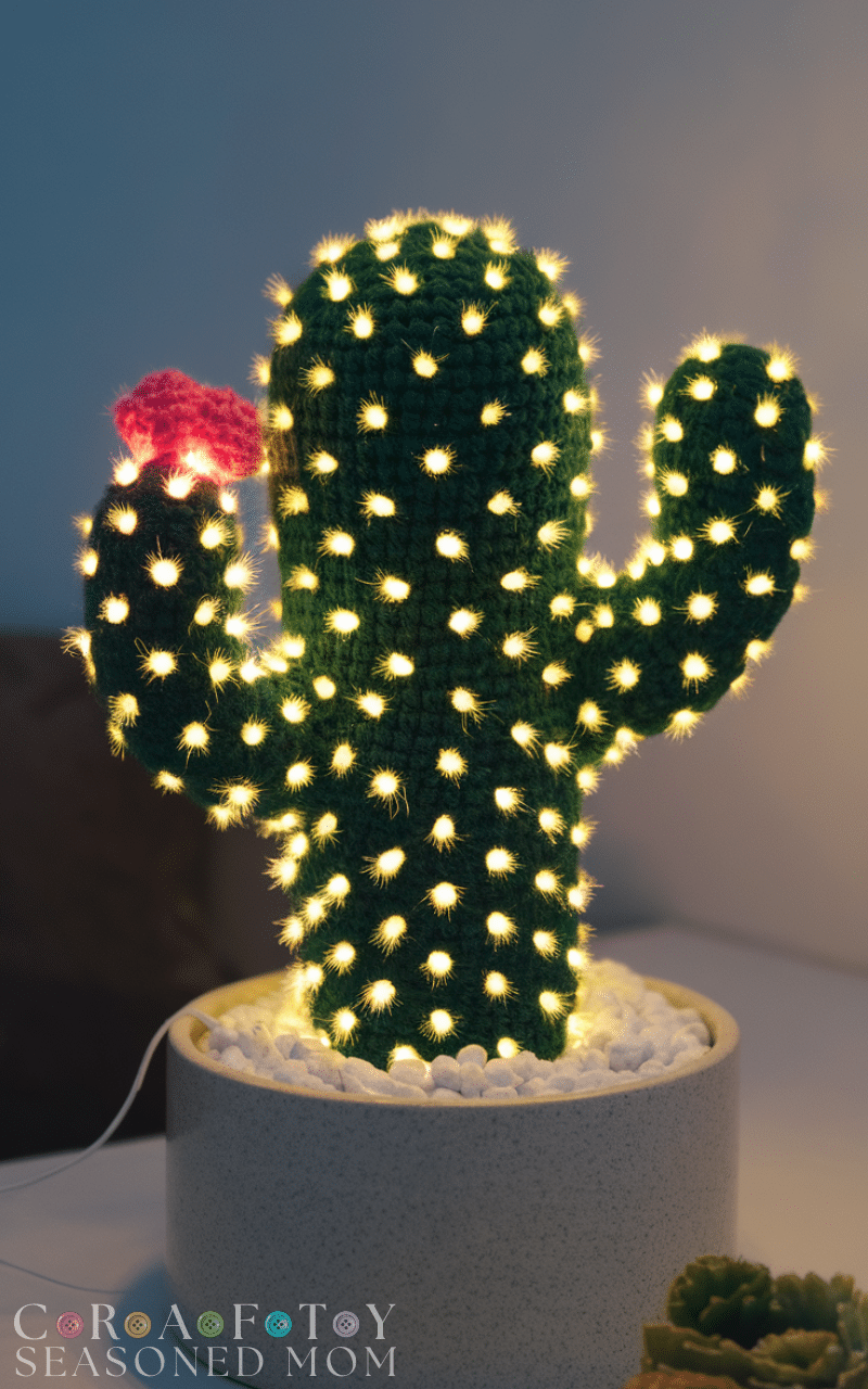 17 Cutest Crochet Cactus Ideas