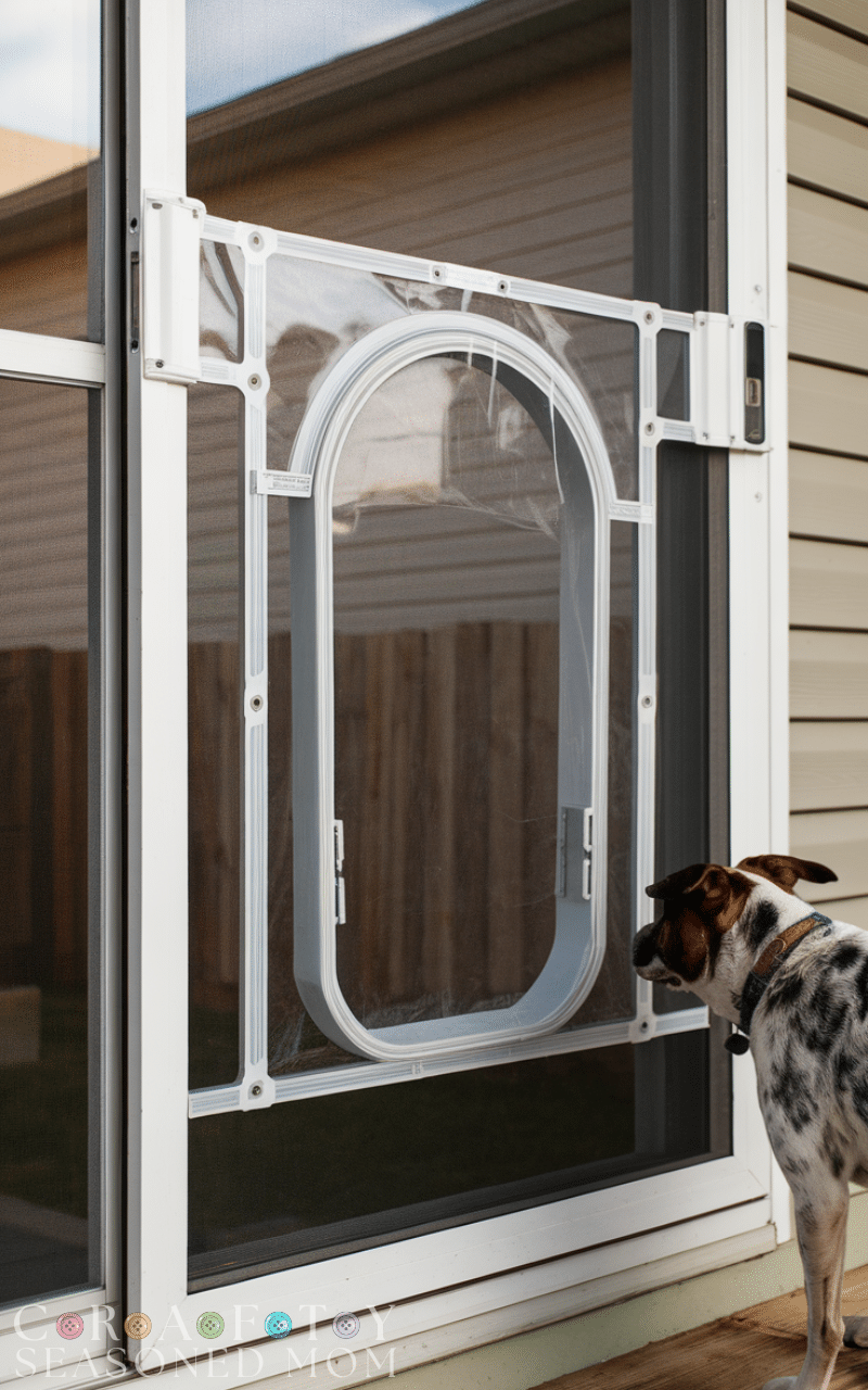 11 Best Dog Door Ideas
