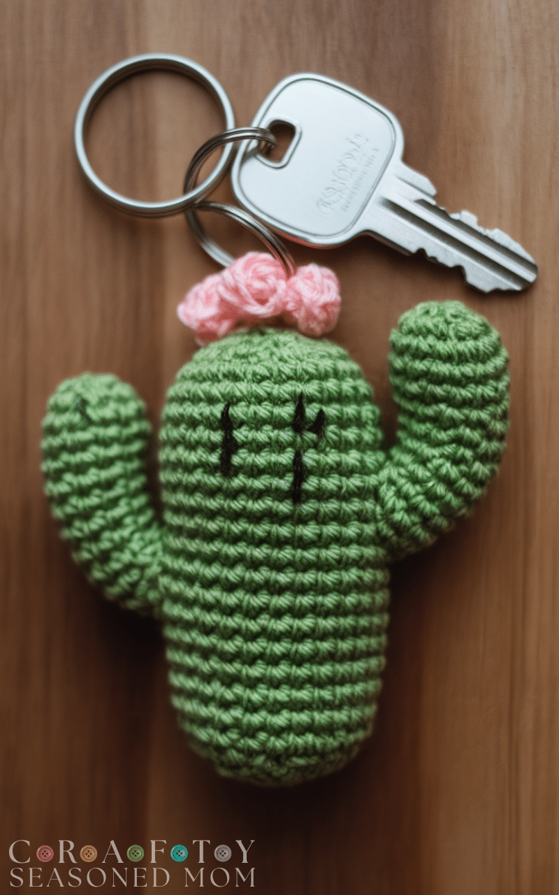 17 Cutest Crochet Cactus Ideas