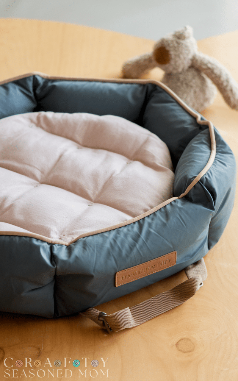 17 Best Dog Bed Ideas to Keep Your Pup Cozy and Happy